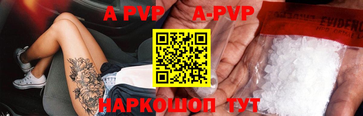A-PVP СК Россошь