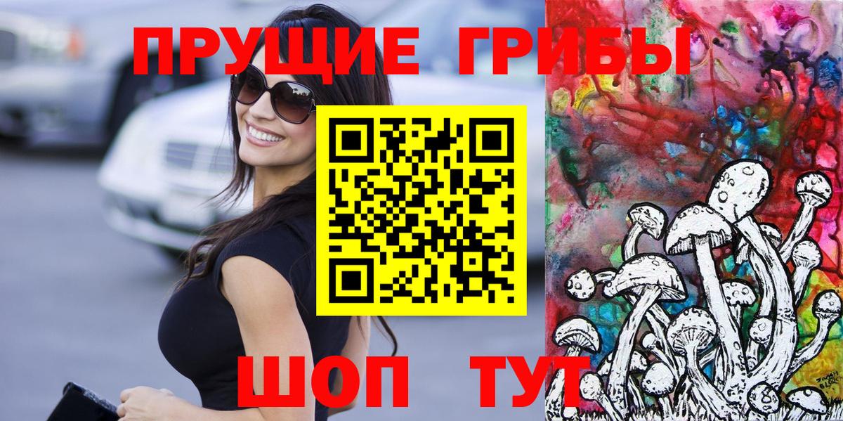 Псилоцибиновые грибы Psilocybe  Вход с VPN  купить наркотики цена  Россошь 